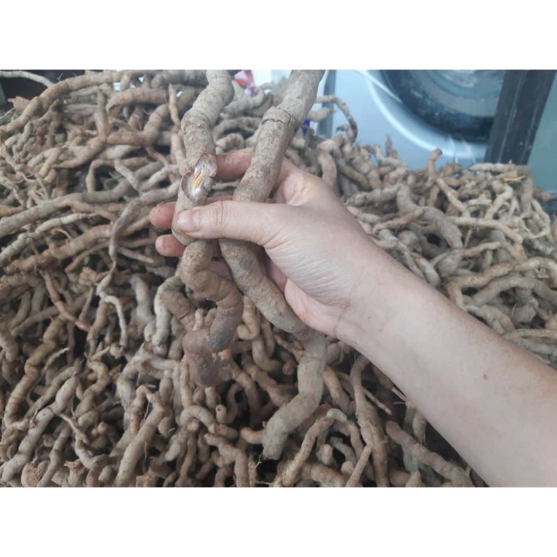 Ba kích rừng Tây Bắc [1kg]