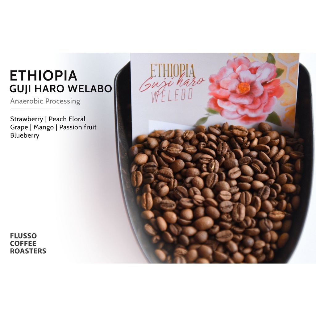Cà phê Specialty Ethiopia Guji Haro Welabo