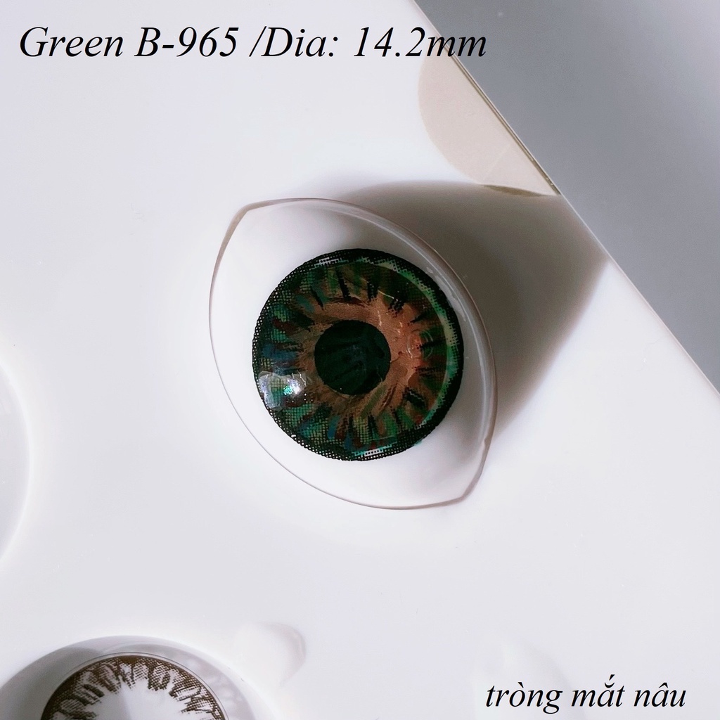 Lens Green B-965 [EXP 9/2023] (kính áp tròng Sona Hàn Quốc)