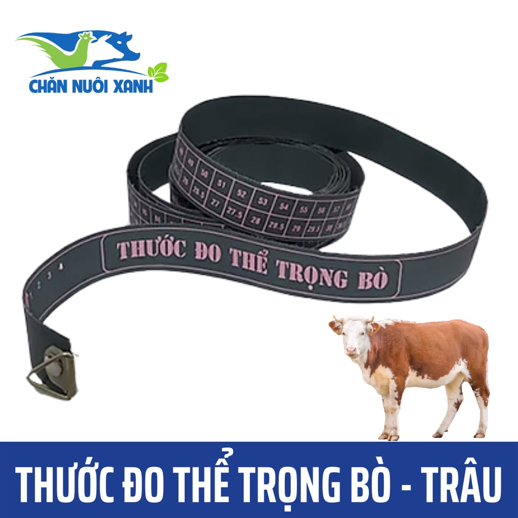 Thước dây đo trọng lượng, khối lượng, thể trọng trâu bò chi tiết số liệu chính xác nhanh chóng - CHĂN NUÔI XANH