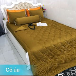 ga gối thun thái màu