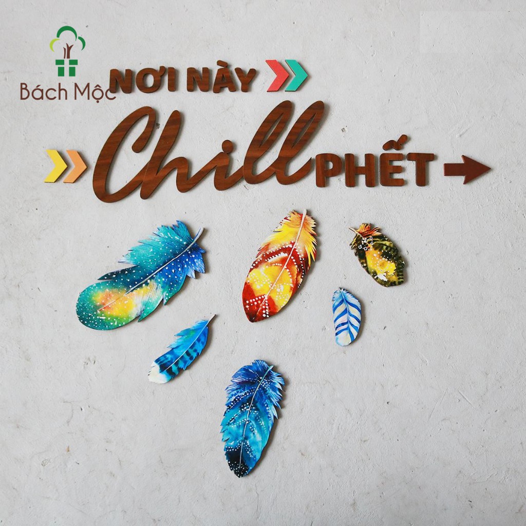 Set Decor Fomex Lông Chim BÁCH MỘC Nhiều Màu Sắc Trang Trí Nhà Cửa