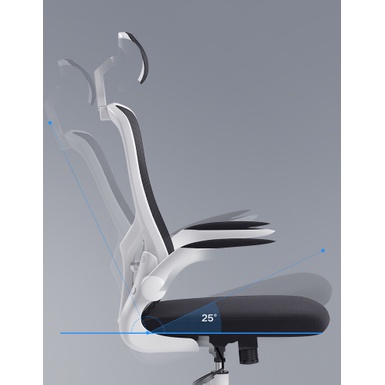 Ghế Công Thái Học Chính Hãng Xiaomi Hbada Regal