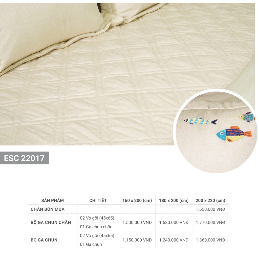 Bộ  Summer Set ga chun, ga chun chần Everon ESC 22017 đủ size