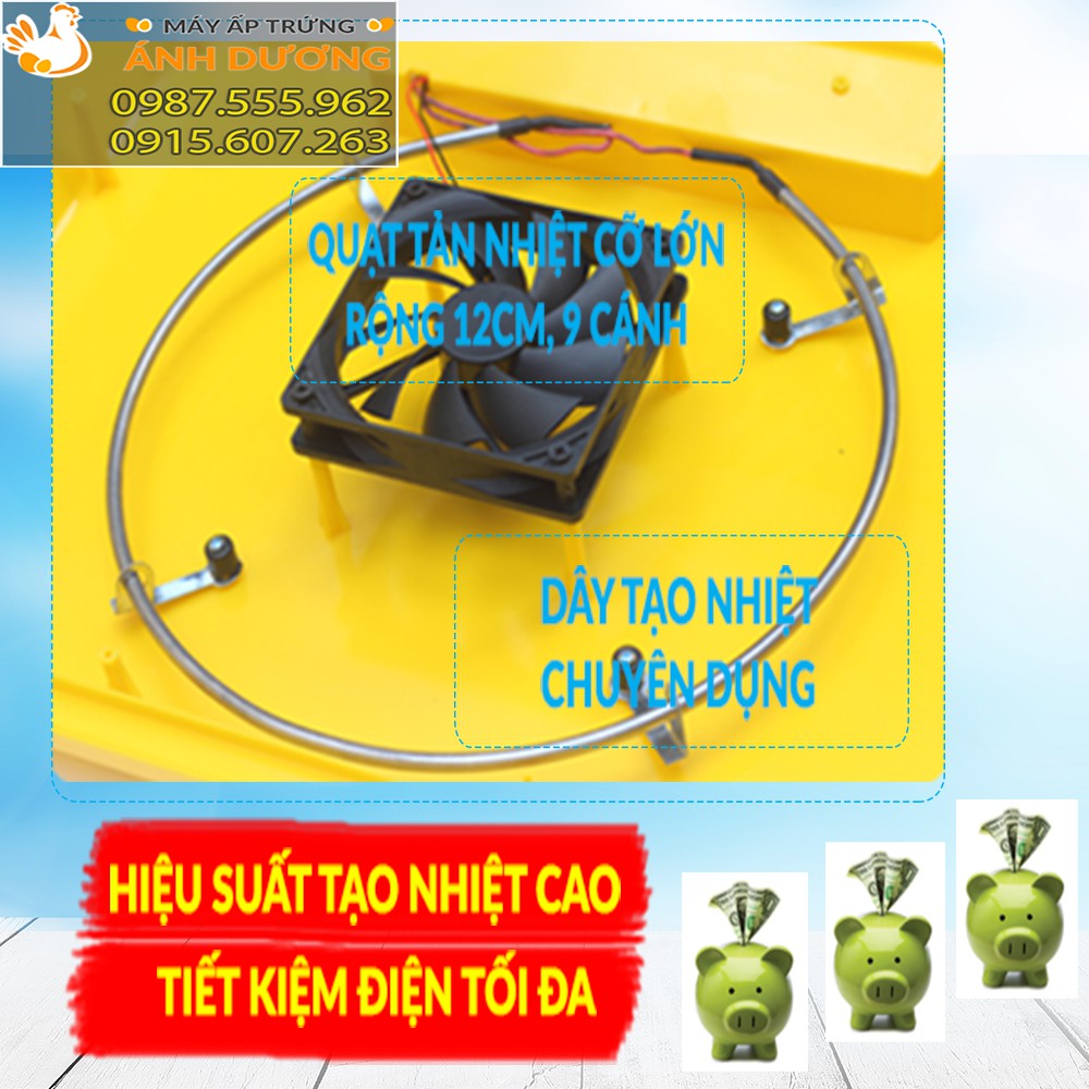 Máy ấp trứng Mini Ánh Dương A100 - 54Trứng Khay Nhựa - Lắp Ráp Sẵn + Tặng kèm gói úm, Bình châm nước