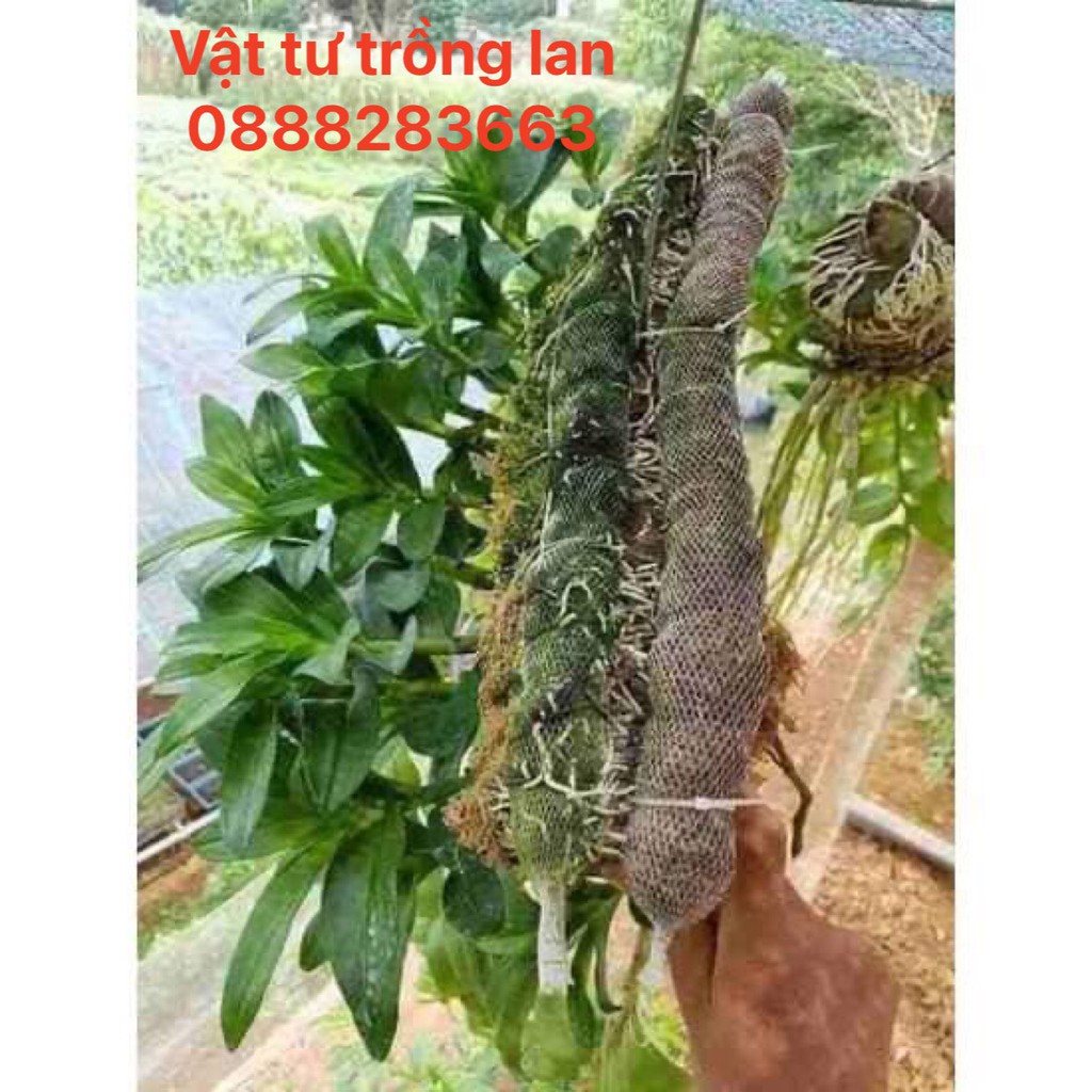 Phân dê trồng lan đã qua xử lí - Túi lưới 20cm