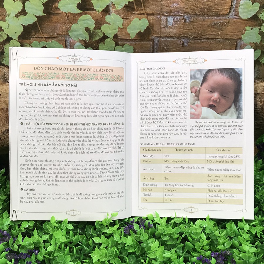 Sách - Cẩm nang nuôi dạy con theo phương pháp Montessori - Thanh Hà Books HCM - Tủ sách giáo dục gia đình kinh điển