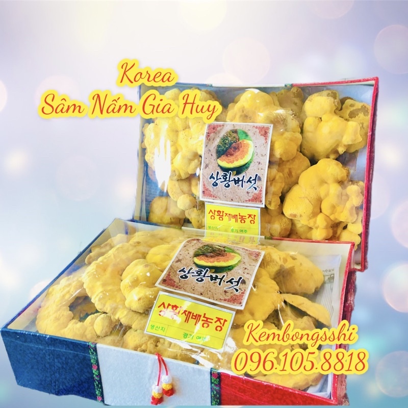 [HÀNG MỚI VỀ] Nấm Thượng Hoàng Hộp Cờ Hàn Quốc, Hộp 500gr