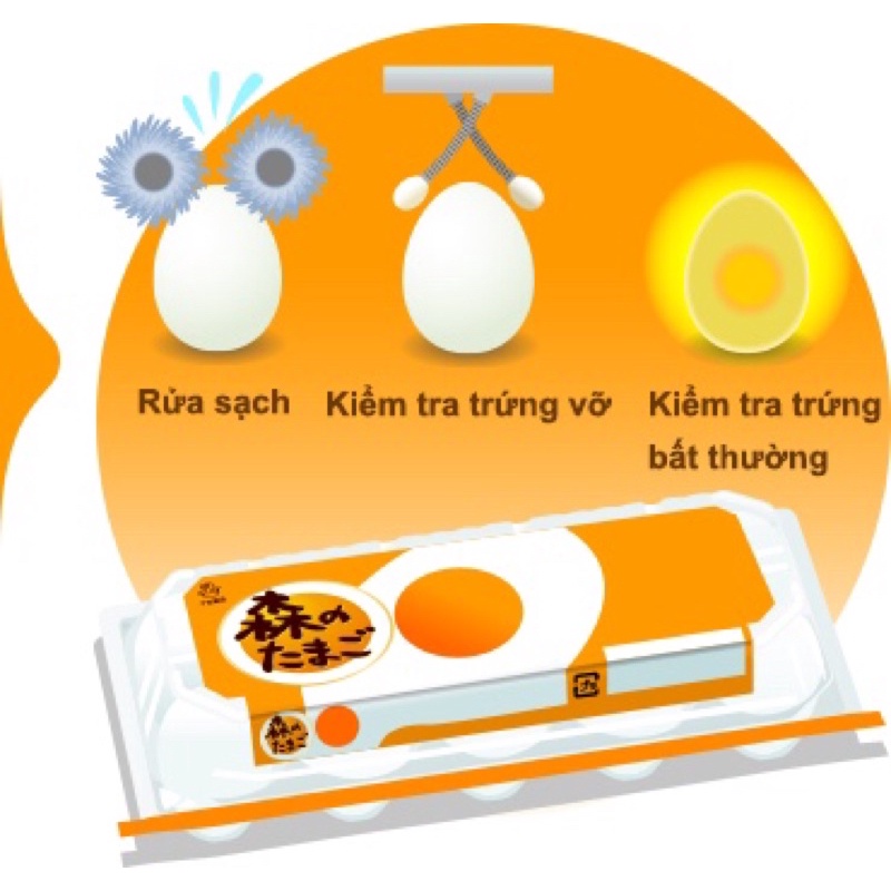 [Hàng cao cấp] Trứng gà Nhật Bản Ise cao cấp - Vitami.n cao gấp 3 lần - Hộp 10 trứng