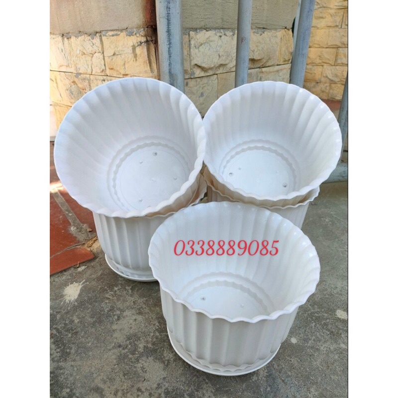 Chậu nhựa sọc tròn  kèm đĩa, trồng cây siêu đẹp