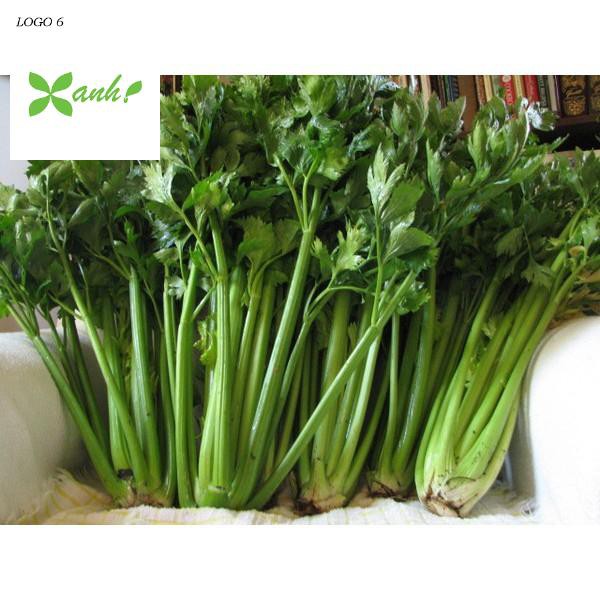 Hạt Giống Cần Tây F1 Siêu Năng Suất,Siêu Dễ Trồng