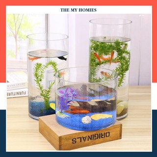 Hồ cá thủy sinh 🐠FREE SHIP🐠 Hồ cá để bàn mini dạng TRỤ ỐNG thủy tinh