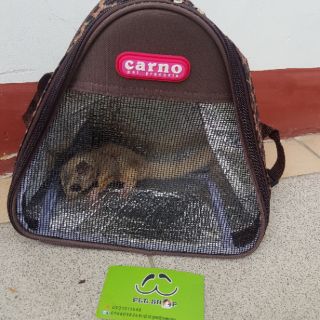 Túi đeo Pet tam giác