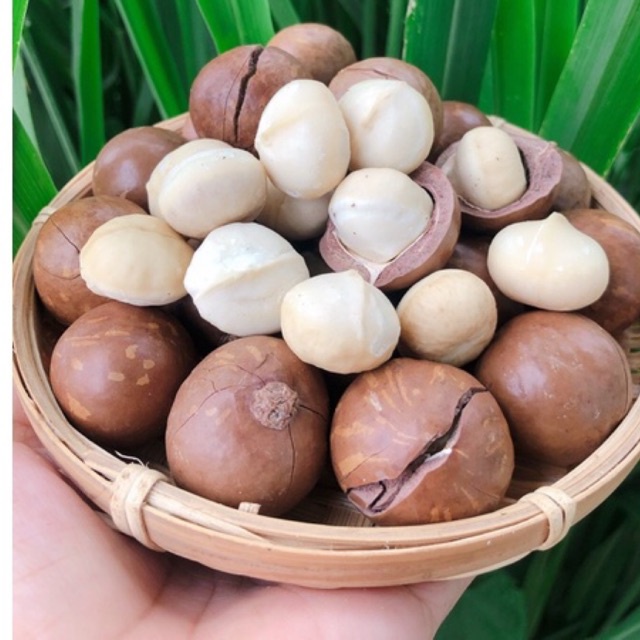 Hạt macca nứt vỏ sấy lạnh size đại 26-29 loại 1 hũ 500g thơm ngon có đồ tách vỏ kèm