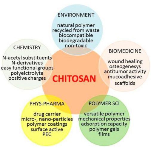 Chitosan dạng vảy (Flake chitosan, made in Vietnam) (15g/30g/50g)