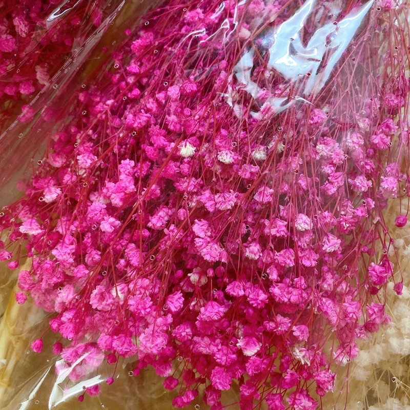 Hoa baby Hồng đậm❤️FREESHIP❤️ Gypsophila hoa khô trang trí phòng ngủ, làm đồ handmade