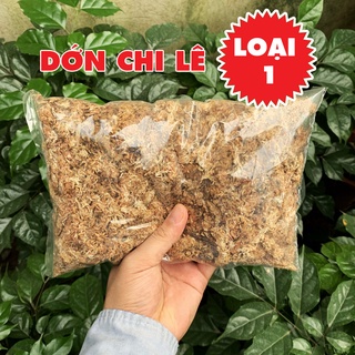 Mua 9 tặng 1, Dớn chile loại 1, hàng nhập, đóng túi 100gr tiện lợi