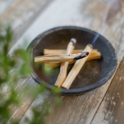 Thanh gỗ Trắc xanh (Palo Santo) Grade AA - thanh tẩy không gian