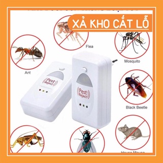 [FREE SHIP] Máy đuổi côn trùng Pest Reject [XẢ KHO HOT]