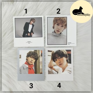 Ảnh card, pola Jinu Winner