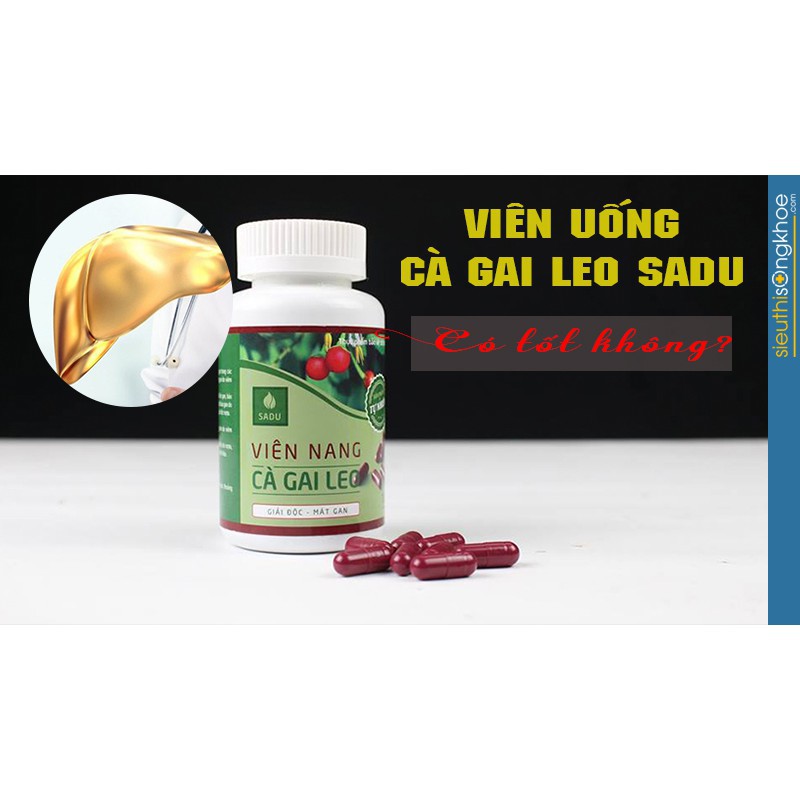 Viên nang cà gai leo - Tăng cường chức năng gan, giải độc gan- Hộp 60 viên nang