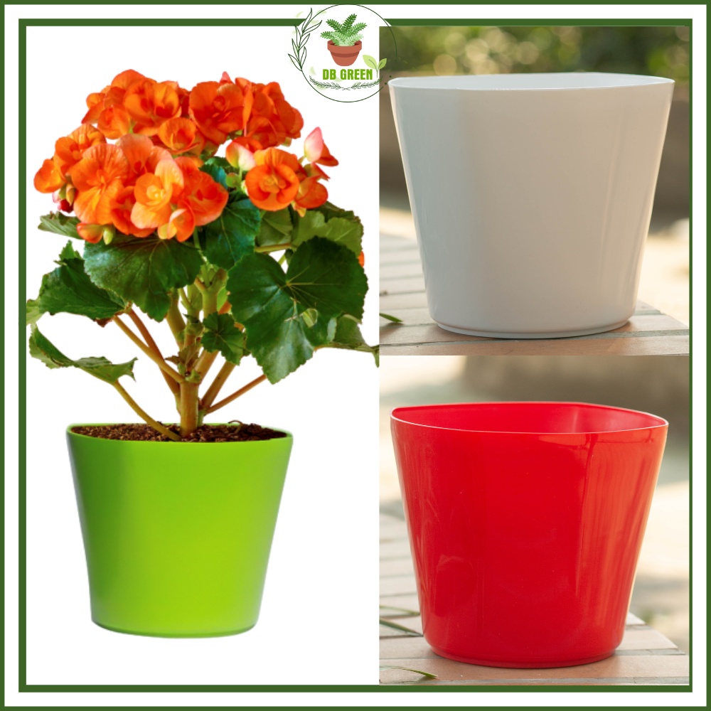 Chậu Nhựa Vuông Tròn Trồng Cây, Chậu Trồng Cây Mini Để Bàn Làm Việc, Hoa, Sen Đá, Xương Rồng - 18×18cm