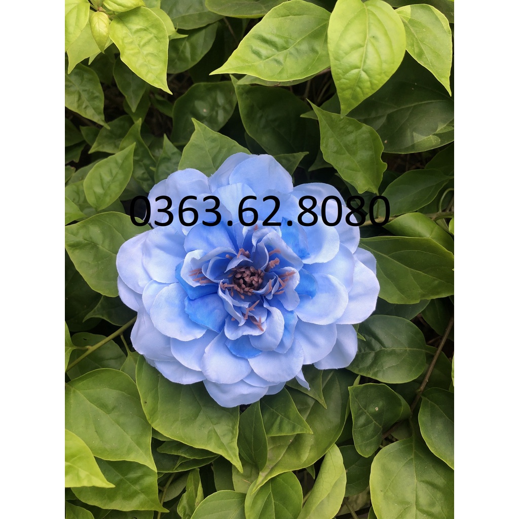 Đầu bông thược dược vải trang trí oản tài lộc, oản ngọc, tháp bánh, nước, giỏ quà Tết