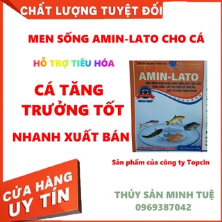 Men tiêu hóa Amin-Lacto - Thuốc Thủy Sản Minh Tuệ