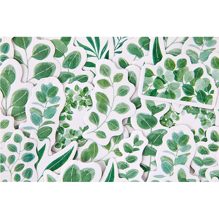 Hộp 45 miếng sticker mẫu cành lá cây xanh