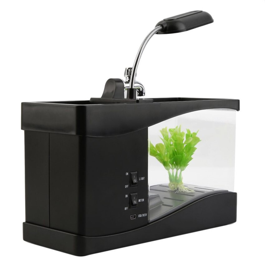 Hồ cá mini để bàn Free ship đồ chơi phong thủy cho bạn không gian thư giãn trong căn phòng của mình