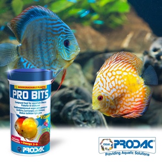 Thức ăn dạng hạt tăng màu cho cá dĩa - PRODAC PRO BITS/ Tetracolor