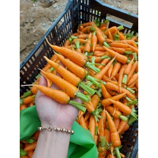 combo rau củ Dalat