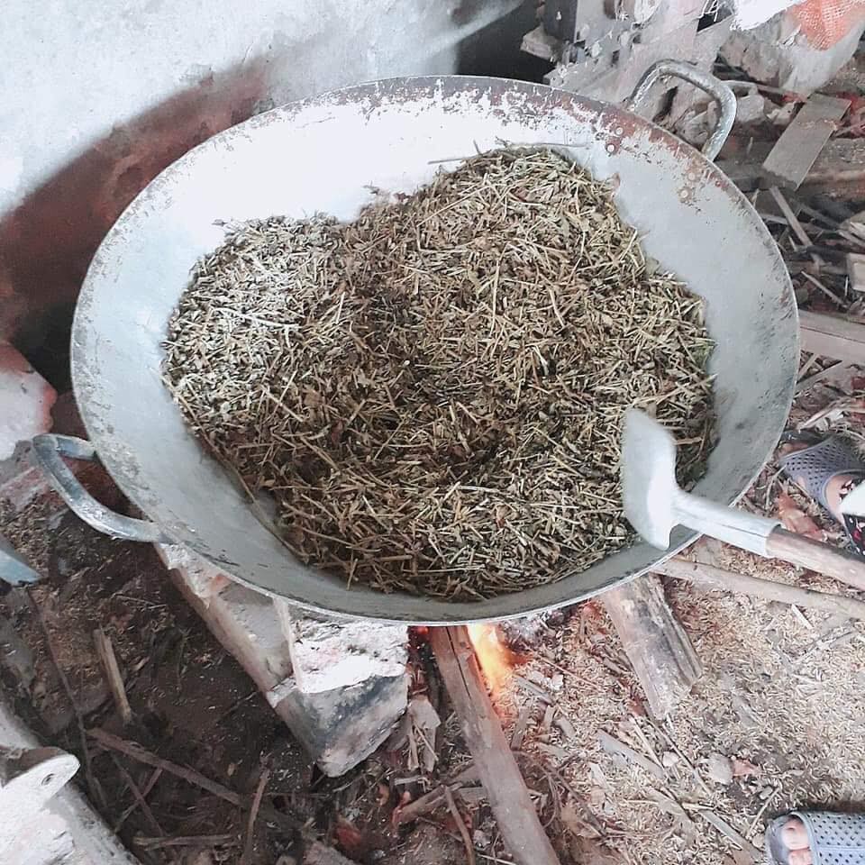 Cây An Xoa Sao Vàng