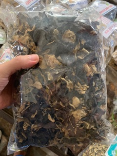 Mộc nhĩ rừng