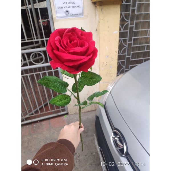 hoa hồng nhung lụa cành 1 bông 70cm