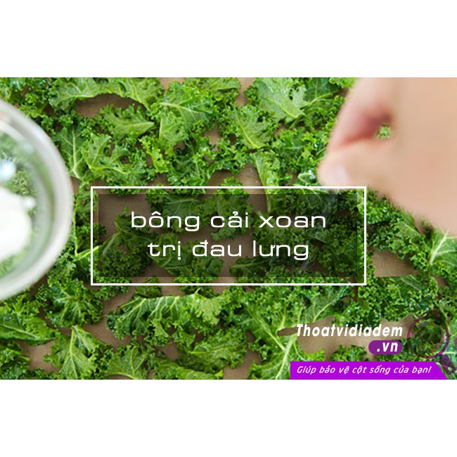 Bột Cải Xoăn (Kale Powder) Dalahouse nguyên chất 50g