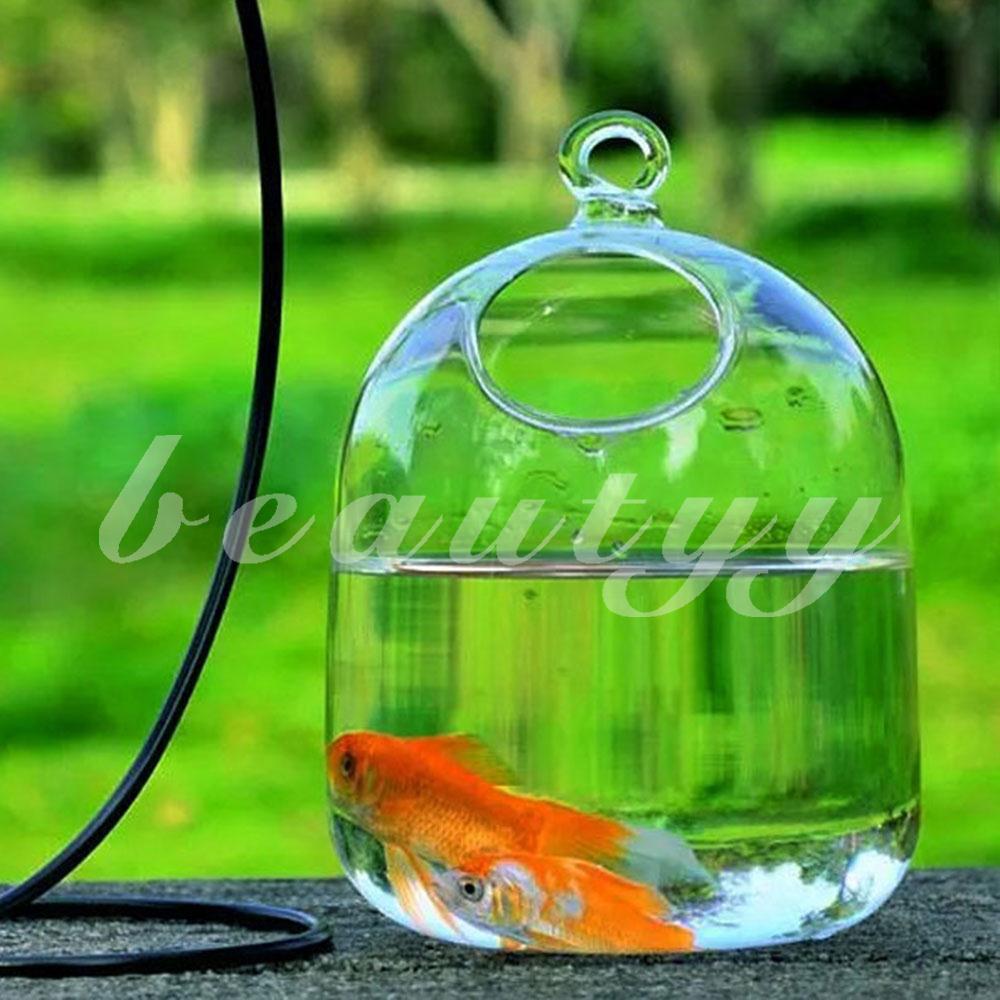 Bình hoa trong suốt handmade trang trí bể cá