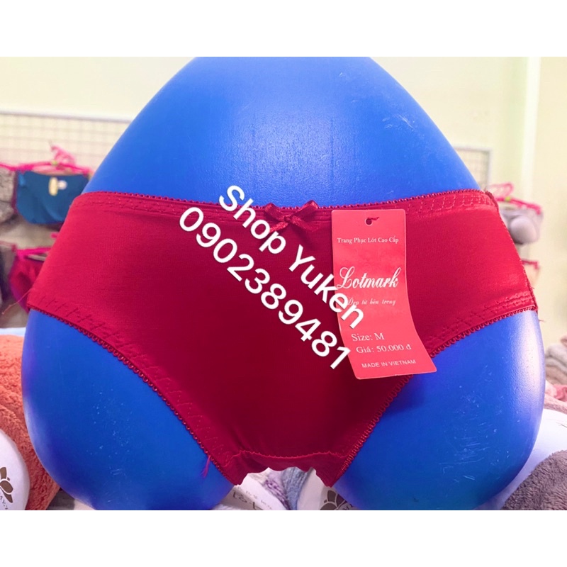 Combo 5 Quần Lót Nữ . L020 Quần lót không đường may hàng Việt Nam xịn siêu mát