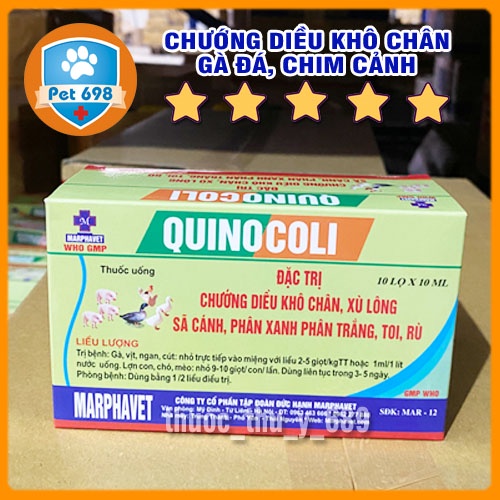 Combo 3 chai 10ml Quinocoli Xù lông sã cánh chướng diều khô chân, chim cảnh, gà đá, thỏ.