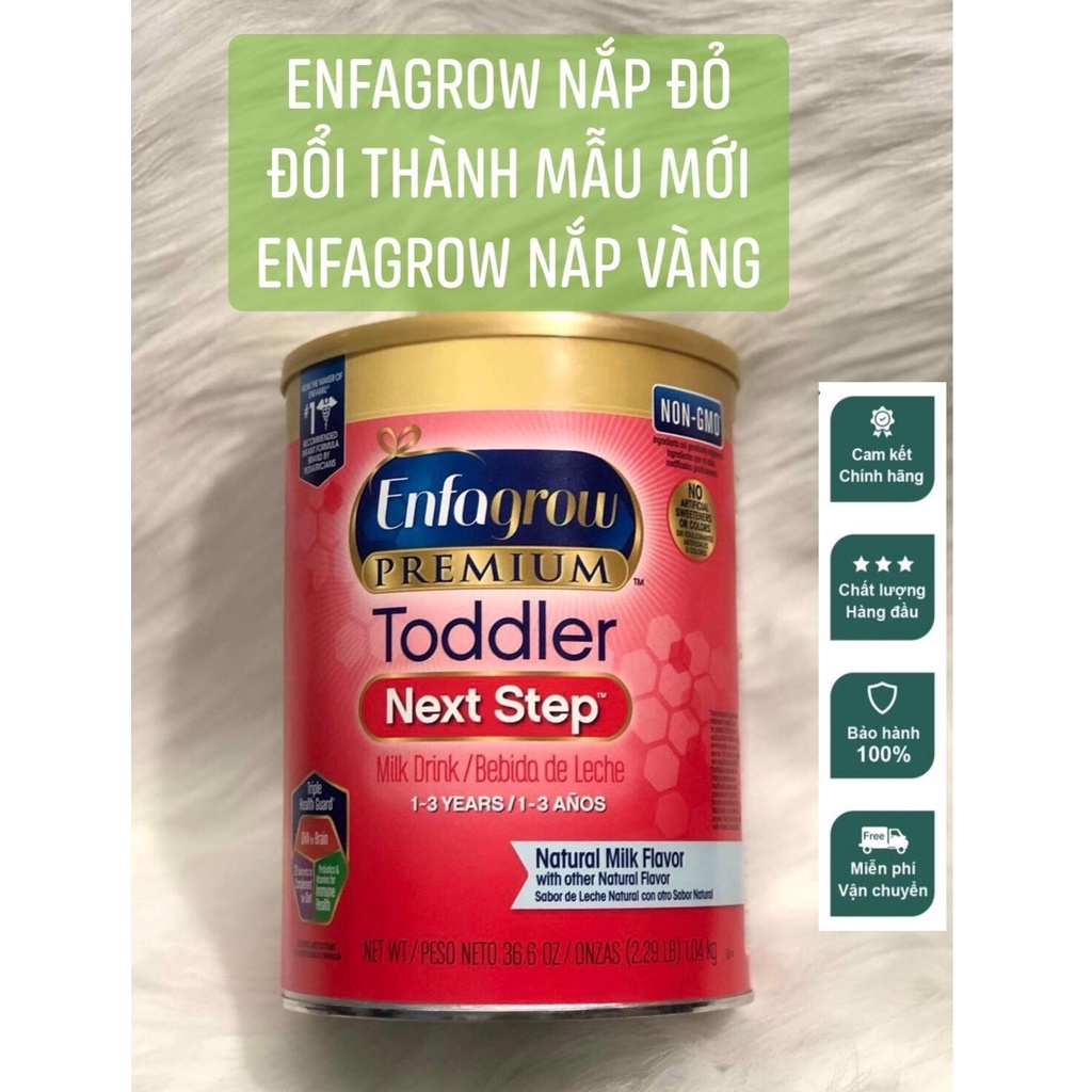 Sữa Enfagrow Toddler Next Step Nắp Vàng 1,04kg [ DATE 2023 ]
