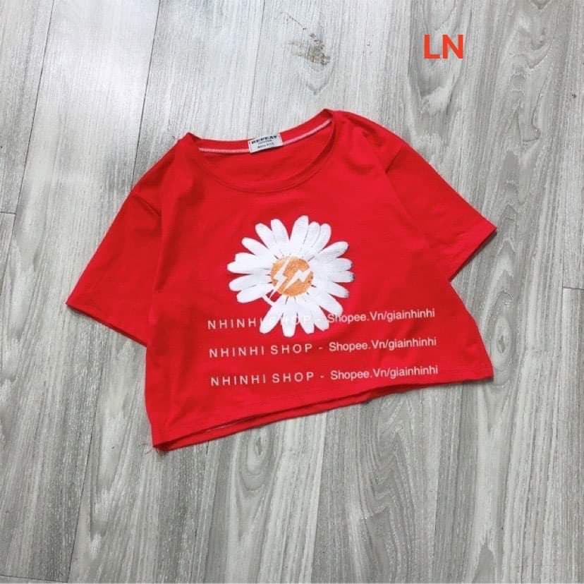 Áo croptop hoa cúc