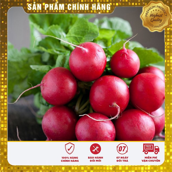 Hạt Giống Củ Cải Tròn Đỏ ( gói 5 gram)