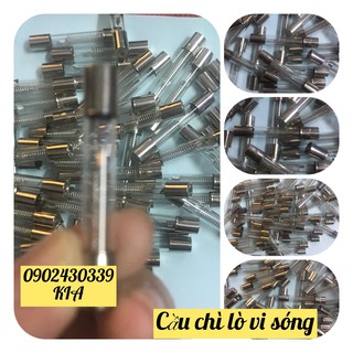 [Rẻ vô địch] [Có sẵn] Cầu chì lò vi sóng
