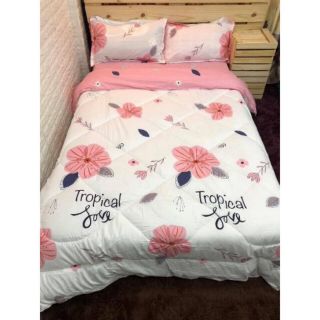 Bộ chăn ga phao chăn trần bông