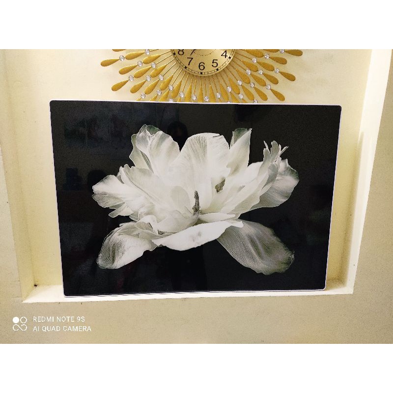 Ảnh thât 💕tranh tráng gương 💝tranh canvas 💝 tranh treo phòng ngủ 💝 Hỗ trợ ship 💝  tranh hoa ban trắng