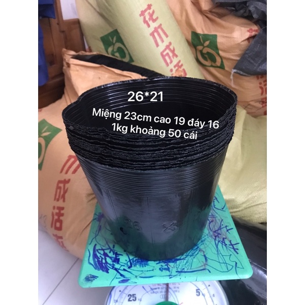 1kg bầu ươm nhiều kích cỡ