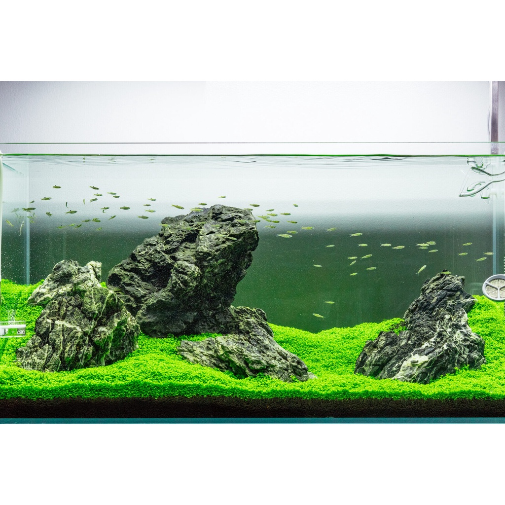 Phân nền Aquafor 2kg