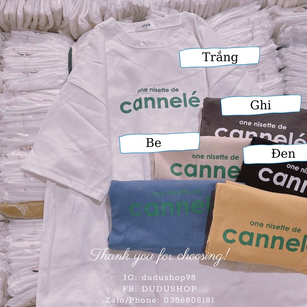 AP11- Áo phông 3158 chất cotton khô nhiều hình siêu xinh