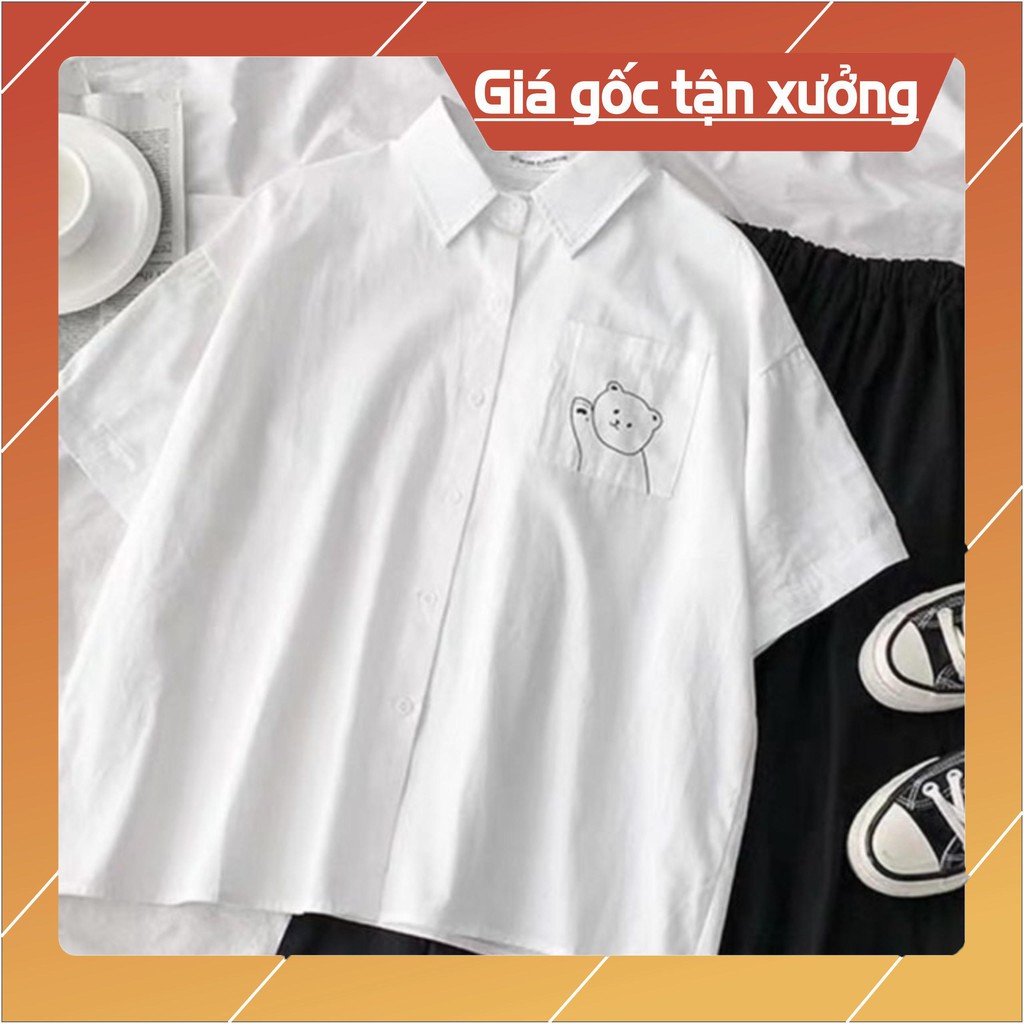 Áo sơ mi gấu HT12