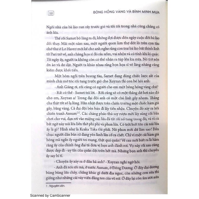 Sách: Bông Hồng Vàng Và Bình Minh Mưa B113